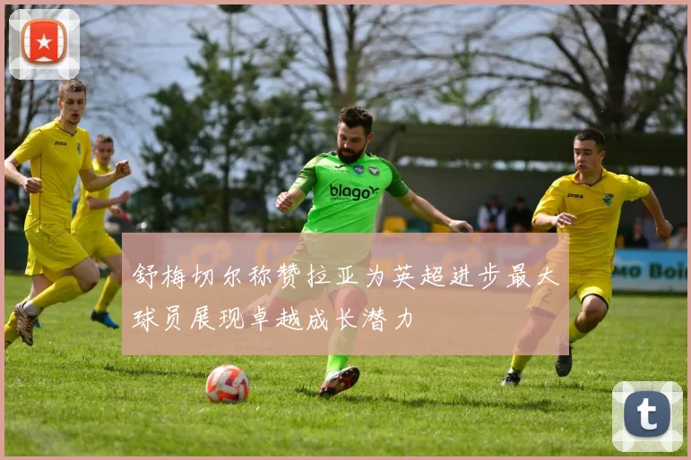 舒梅切尔称赞拉亚为英超进步最大球员展现卓越成长潜力