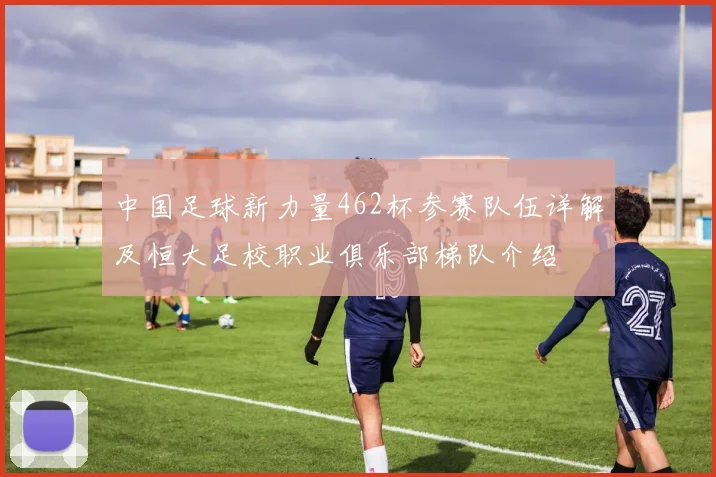 中国足球新力量462杯参赛队伍详解及恒大足校职业俱乐部梯队介绍