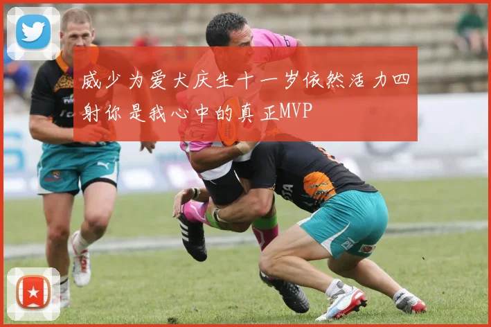 威少为爱犬庆生十一岁依然活力四射你是我心中的真正MVP